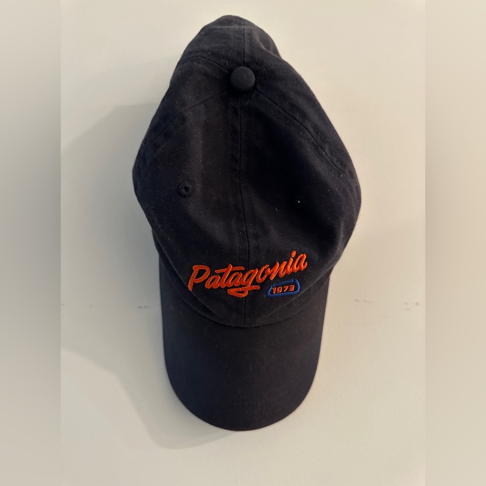 Flash Sale — Patagonia dad hat